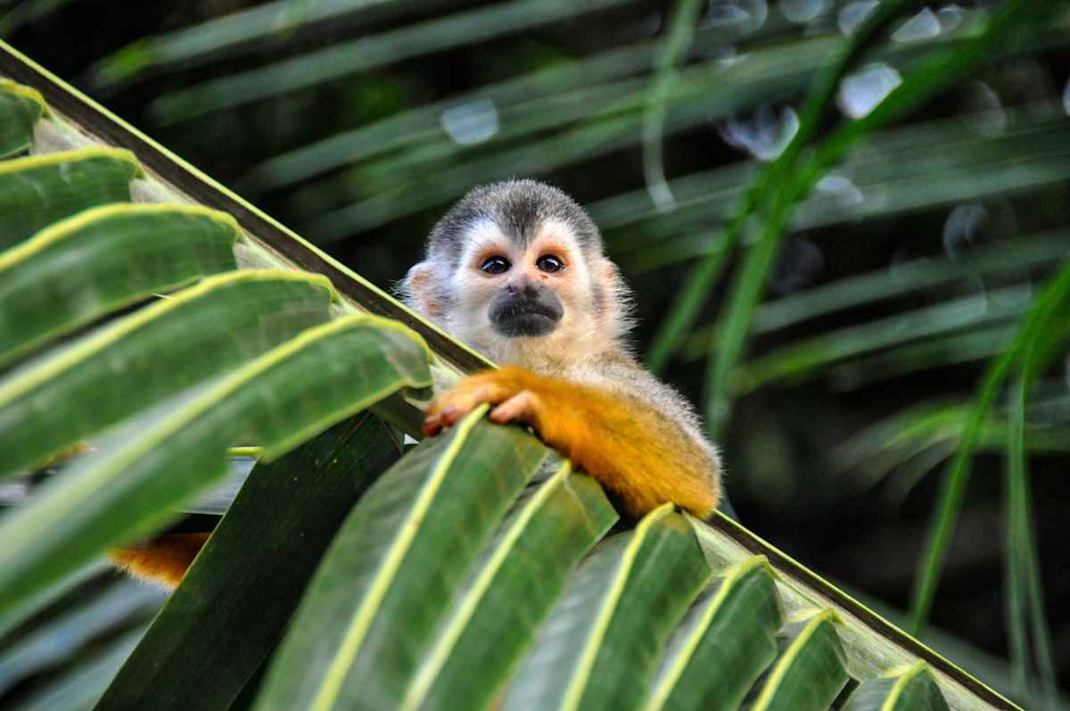 Costa Rica Family Adventure photo 6
