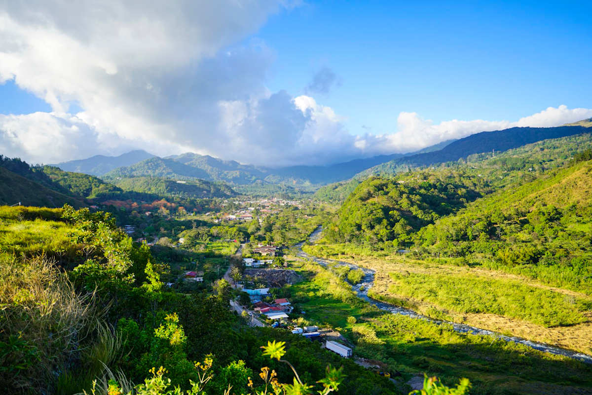 Cloudforest and Caribbean Islands photo 1