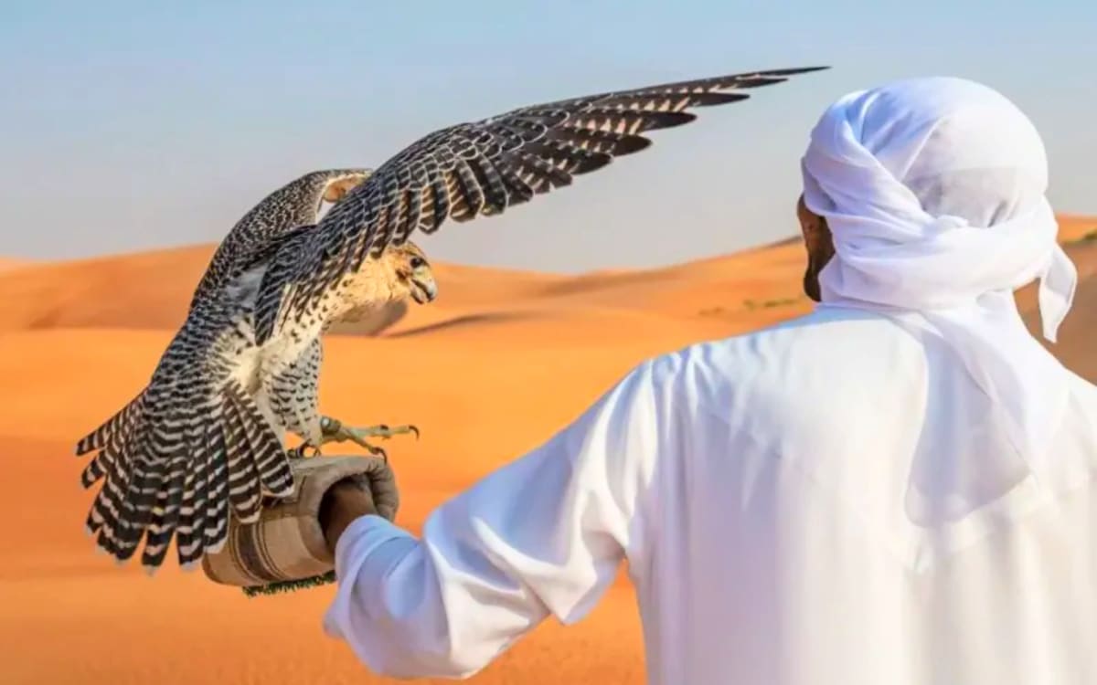 Arabian Wonders: Dubai & Egypt Highlights photo 3