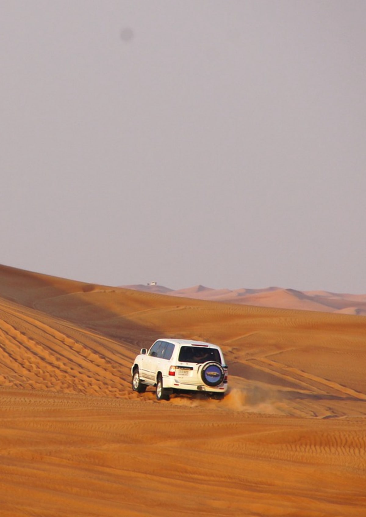 Ultimate Emirati Escape photo 2