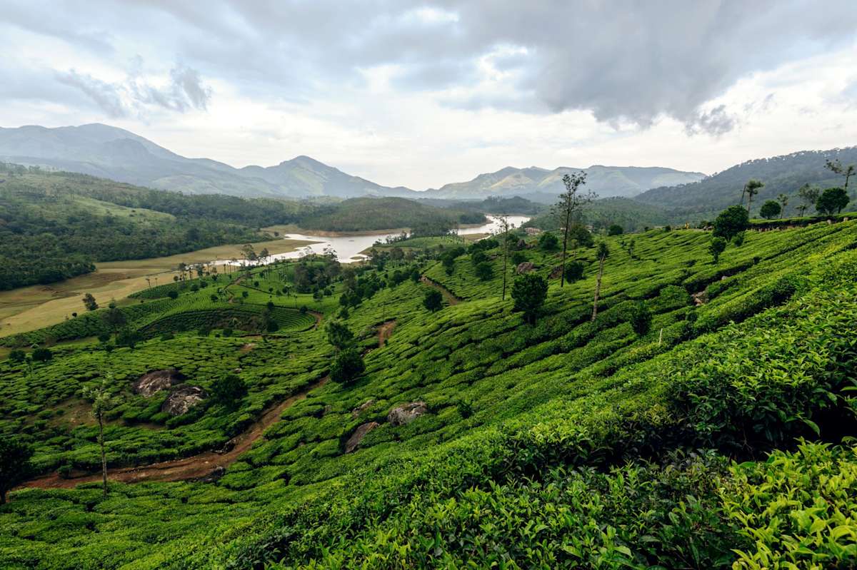 India's North & South: Taj Mahal to Kerala Backwaters photo 4