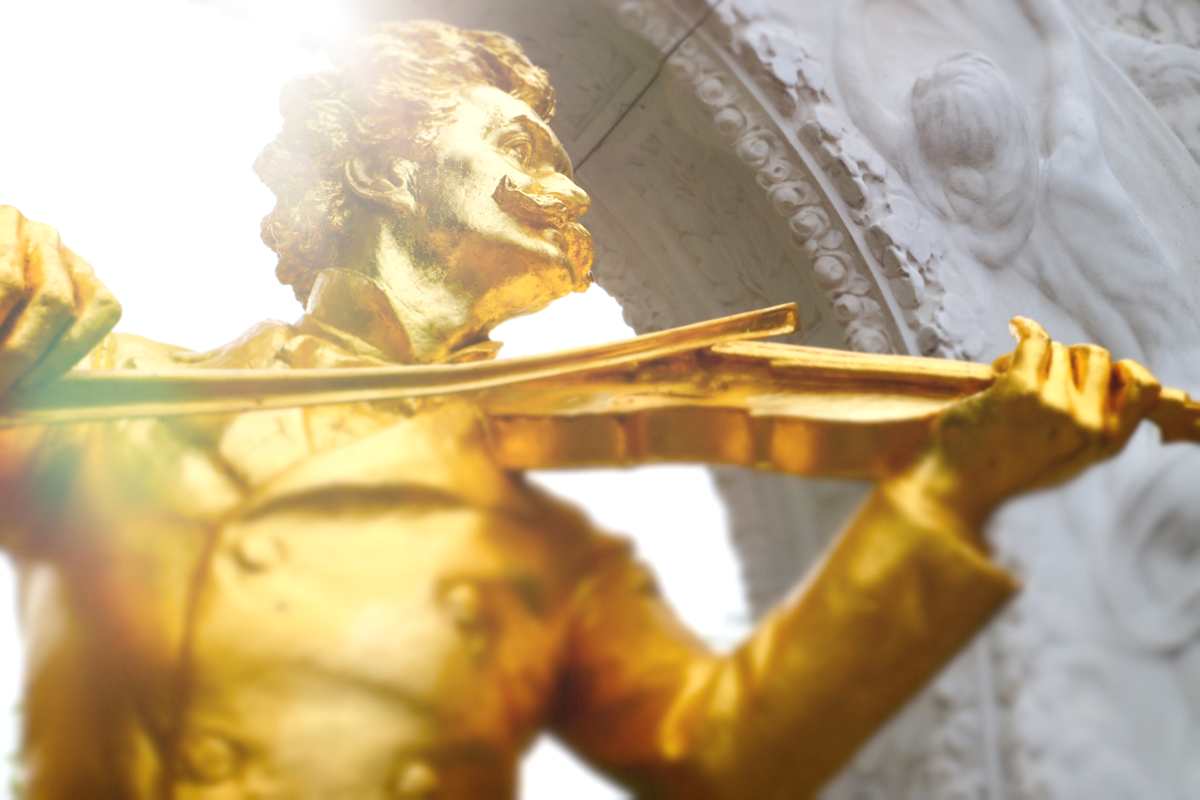 Symphony of Vienna photo 5