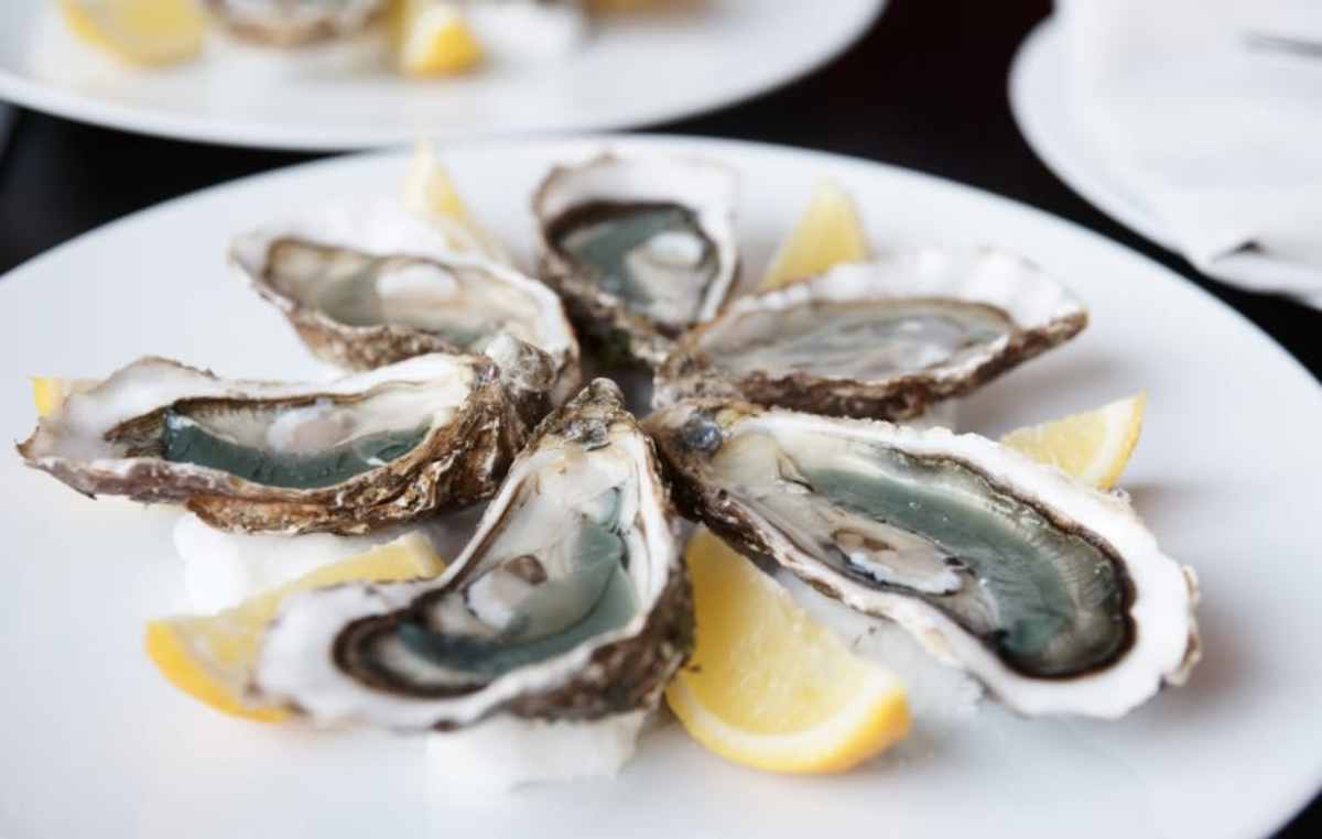 Sonoma's Best Cellars & Gourmet Dining photo 3