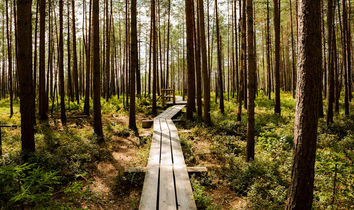 Baltics in Depth  photo 1