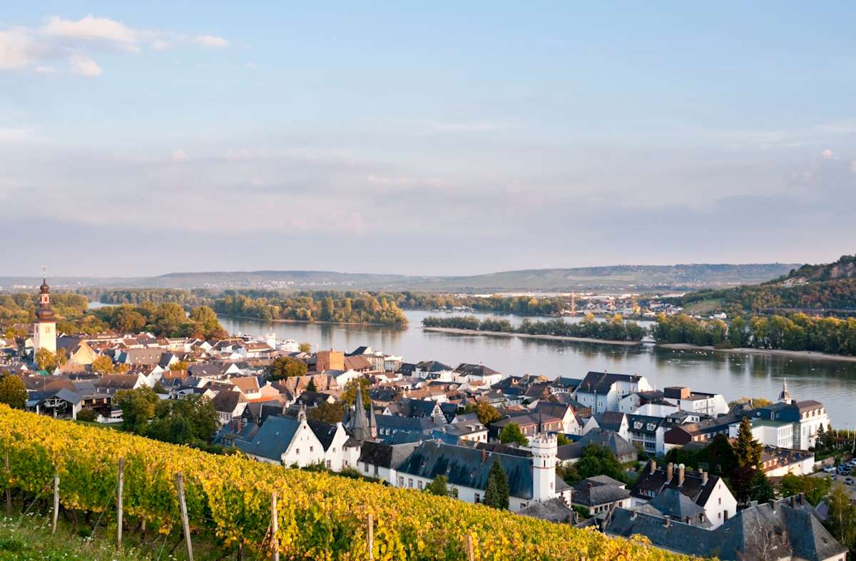 Rhine Discovery with Castle Stay photo 6