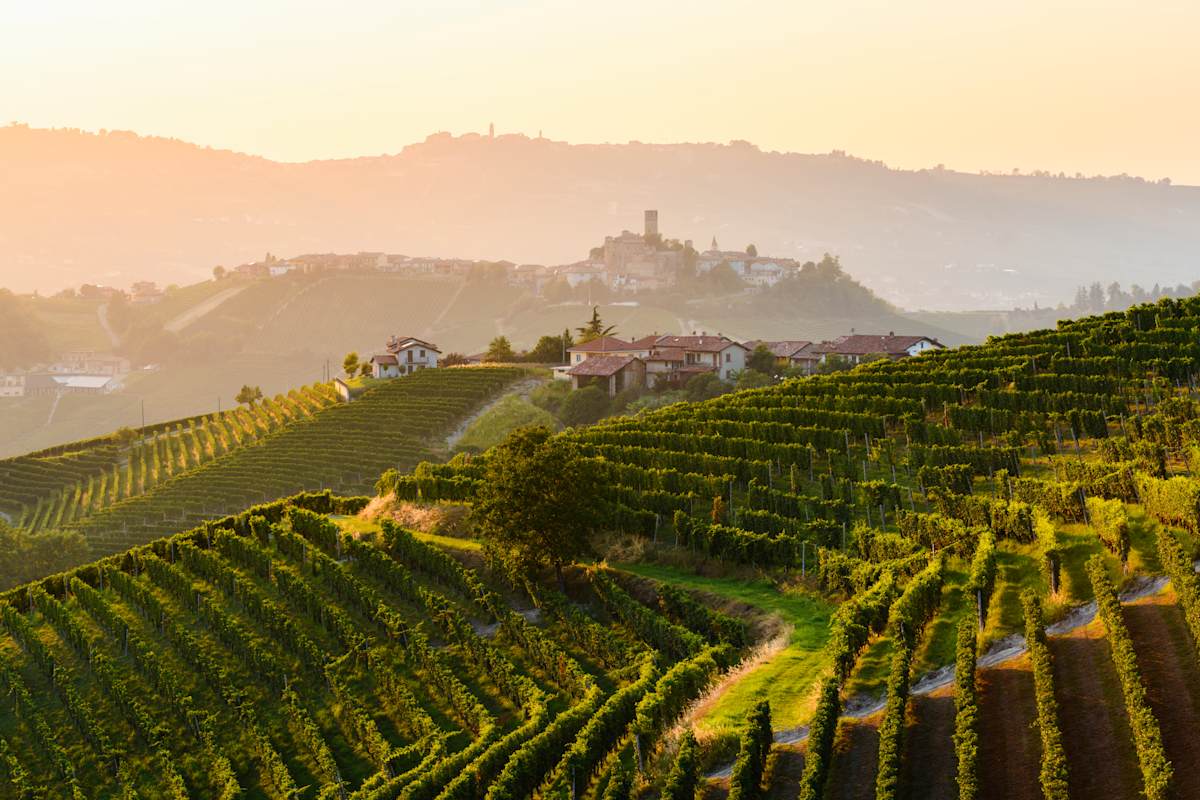 Savoring Northern Italy: Barolo Wines & Bologna photo 1