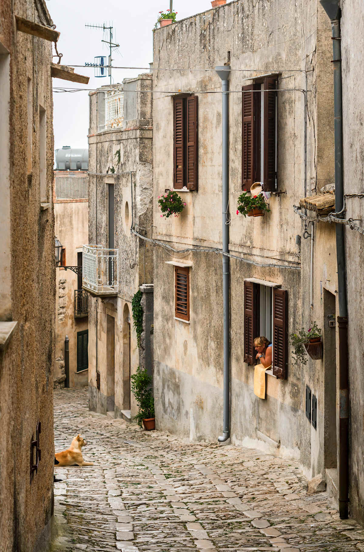 Sicilian Heritage Journey photo 2