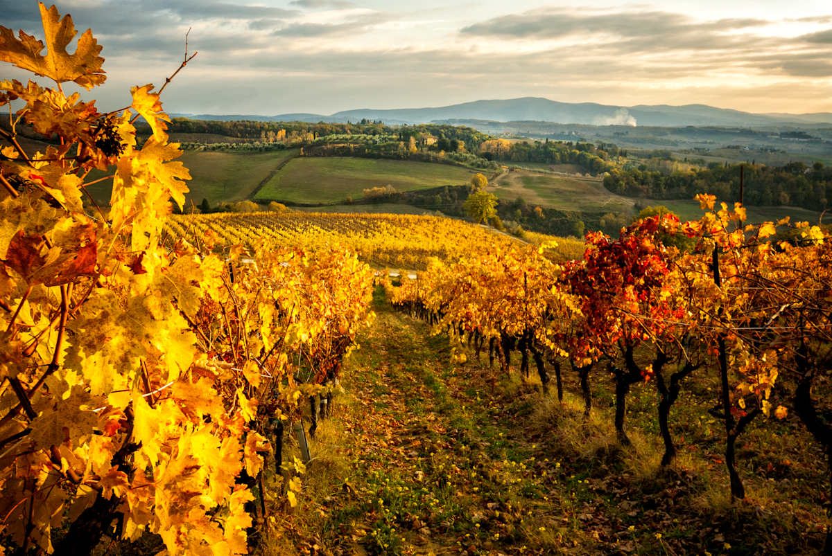 Tuscany in Autumn: A Slow Escape photo 6