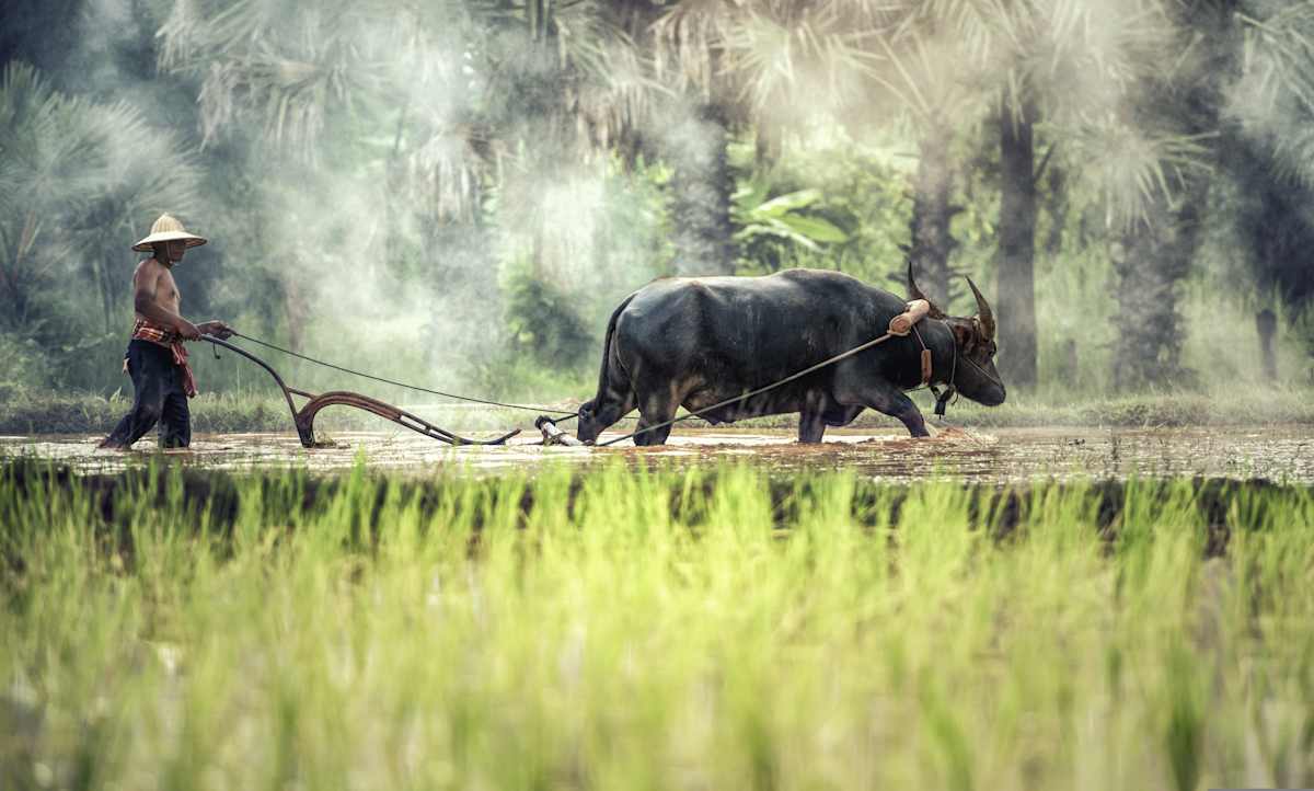Northern Vietnam Unveiled photo 5