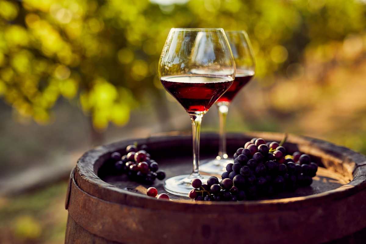 The Flavors of Tuscany photo 2