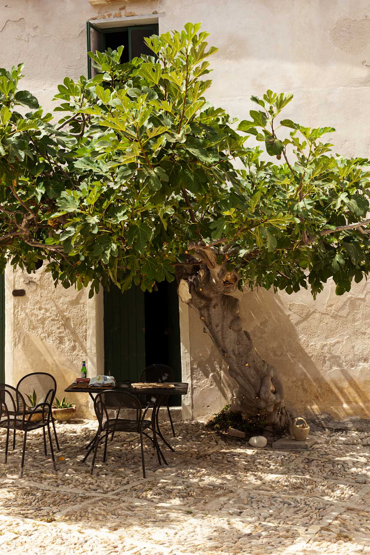 Sicily's Finest: Culture, Cuisine & Mt. Etna photo 2