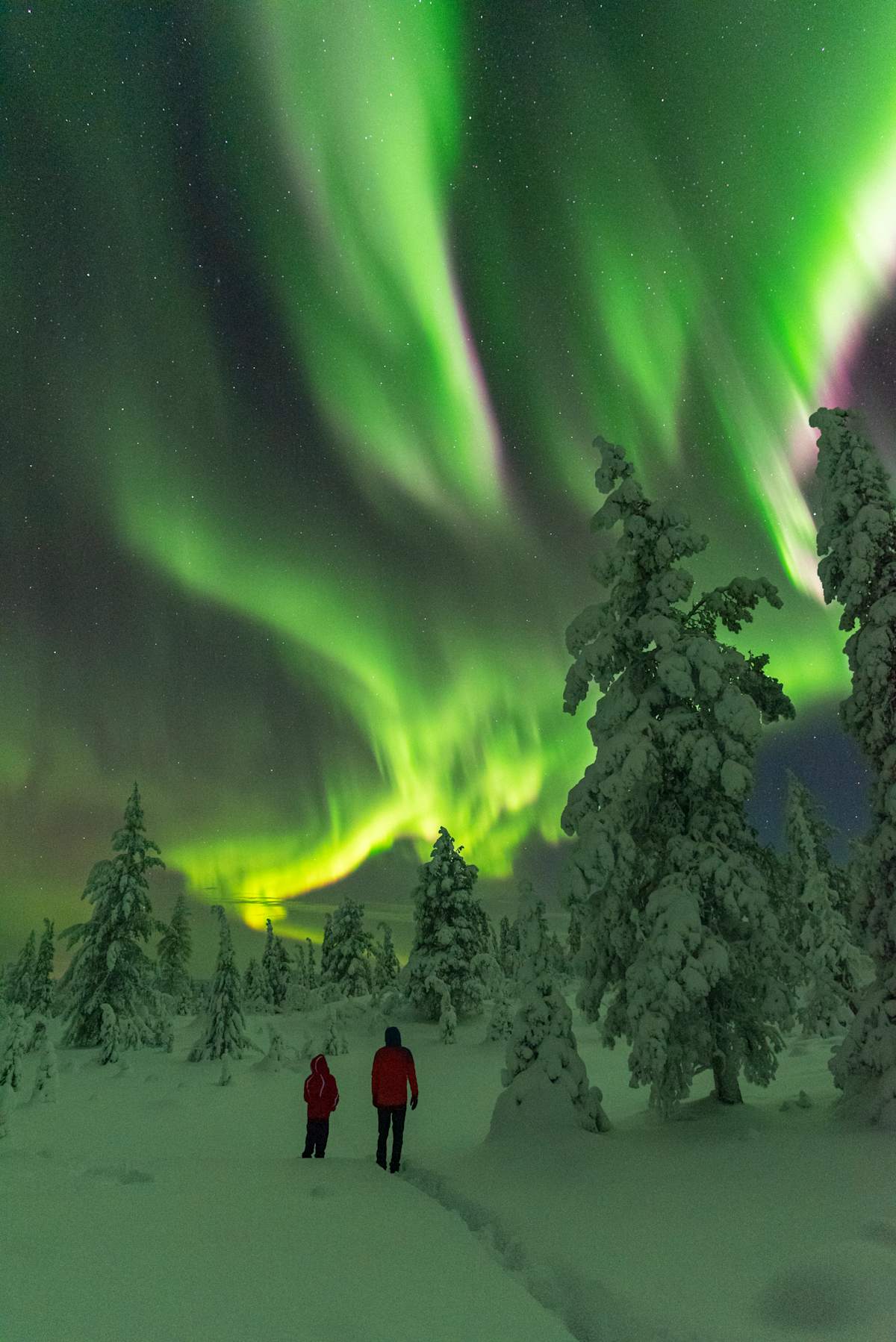 Finland Winter Family Fun photo 7