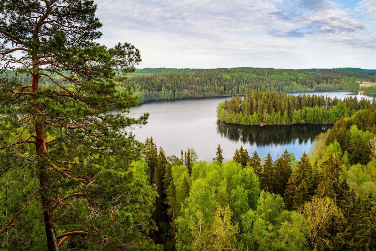 The Treasures of Finnish Lakeland photo 3