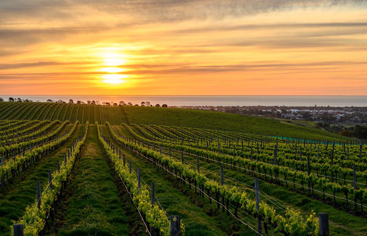 Australia's Food & Wine Regions photo 3