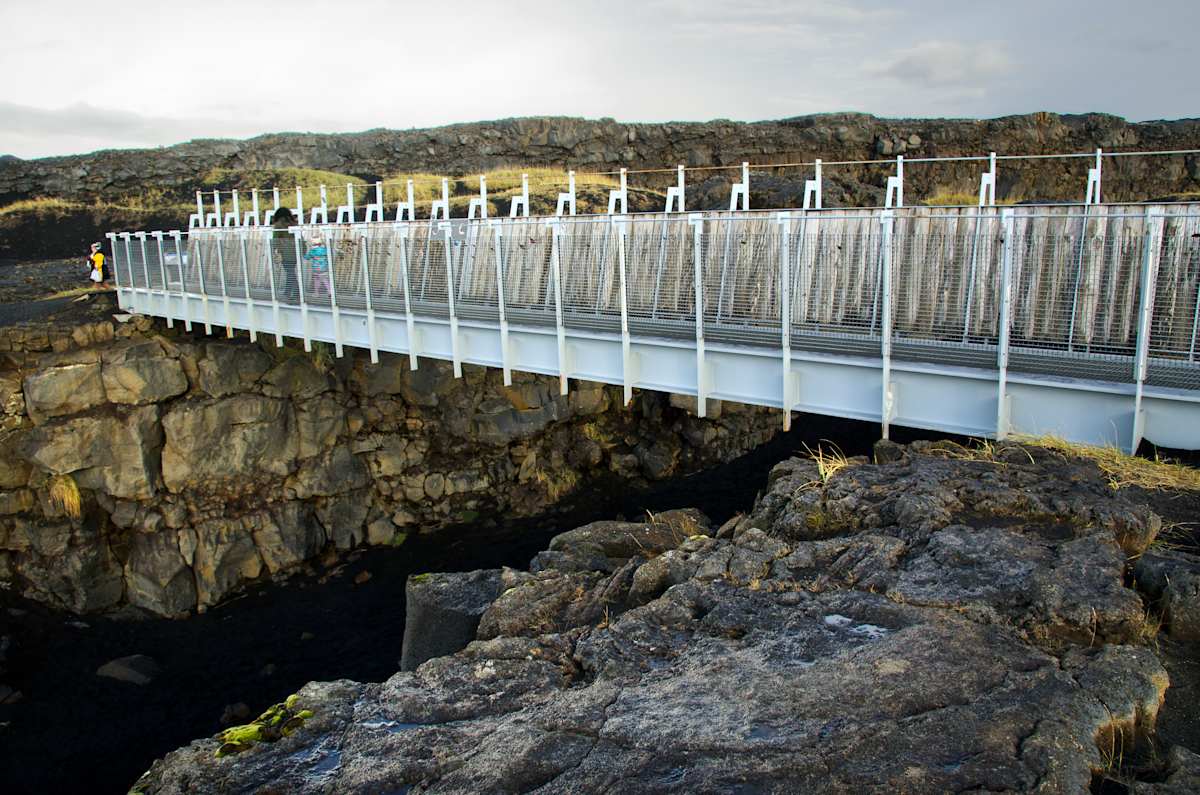Iceland: Wildlife & Arctic Coast photo 6