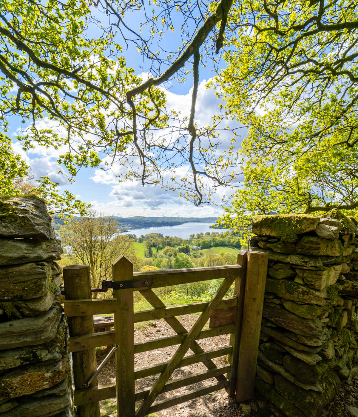England's Literary Lake District & Yorkshire photo 6