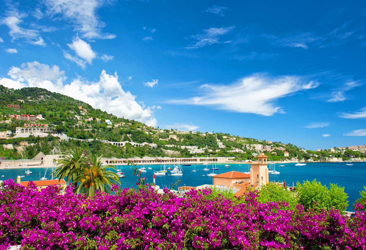 Rendezvous in the South of France  photo 4