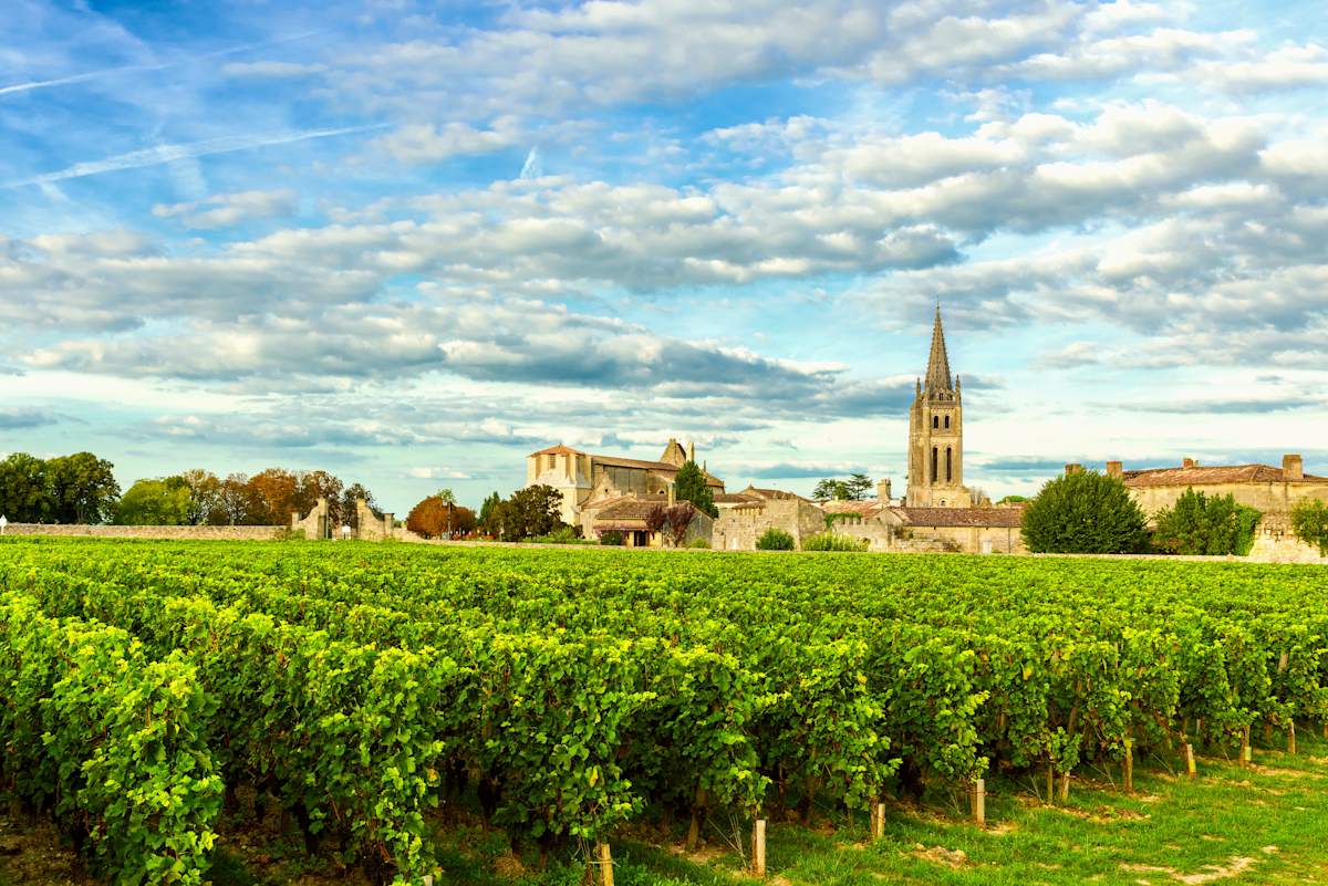 Eiffel Tower to Estate Wines: Burgundy & Bordeaux photo 2