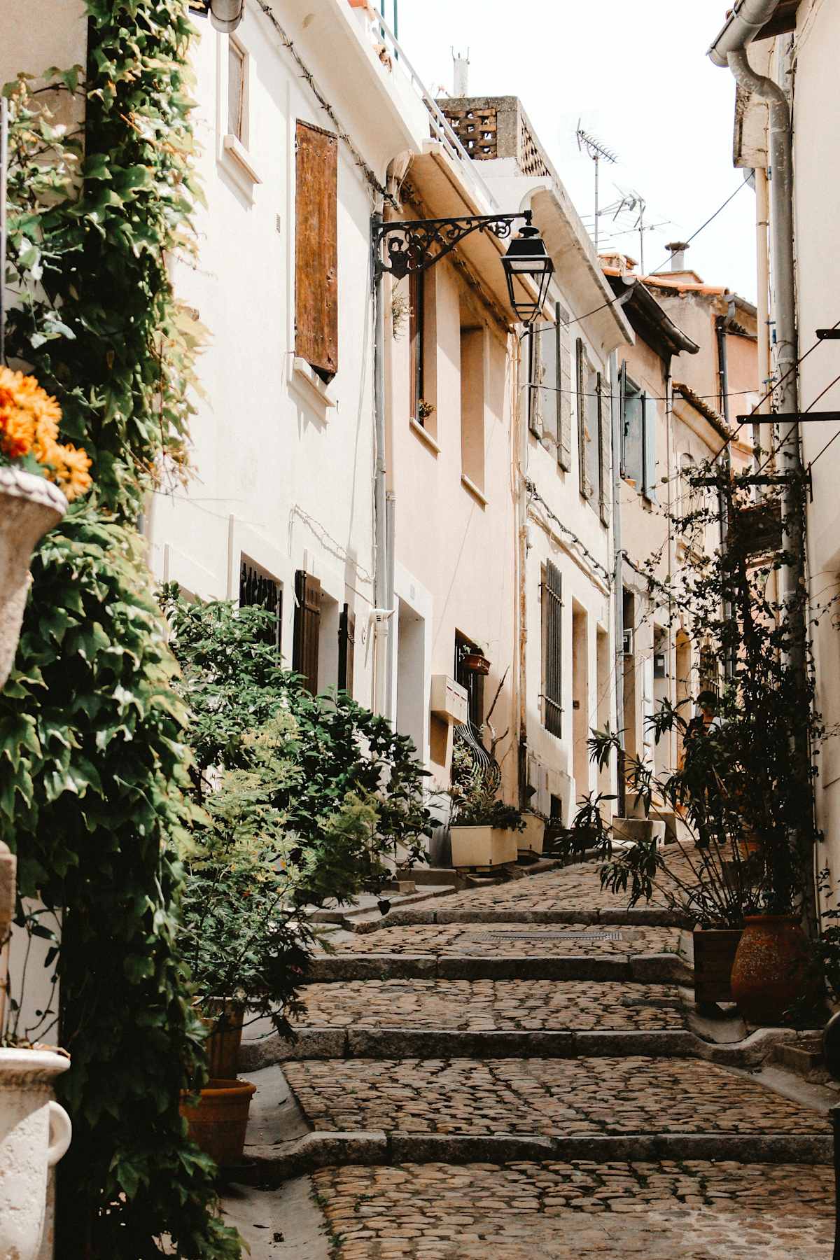 The Essence of Provence photo 2