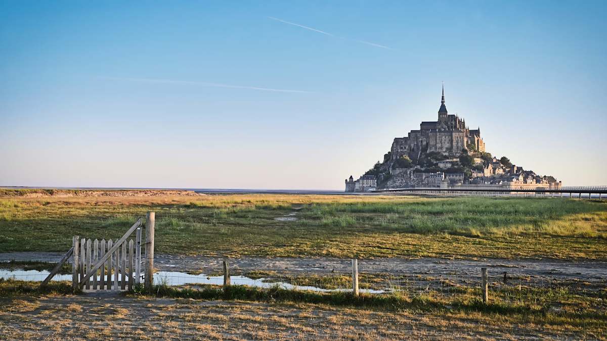 Echoes of Normandy: D-Day Discovery photo 3