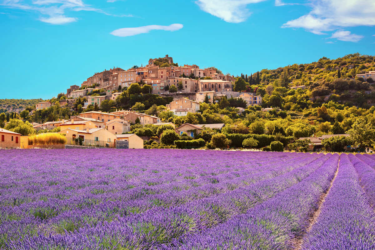 Rendezvous in the South of France  photo 7