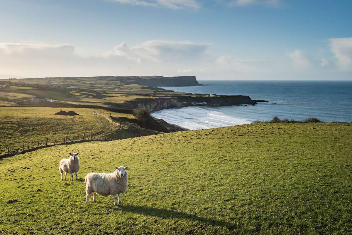 Coastal Heritage of Ireland & Northern Ireland photo 2