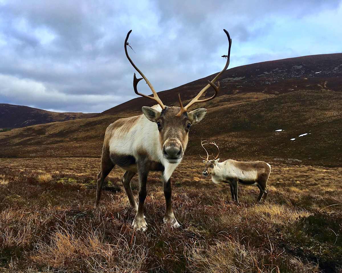Scotland's Heart: Castles & Wild Highlands photo 13