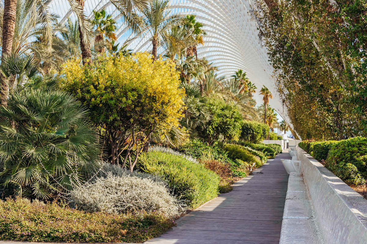 Madrid to Valencia: Art, Culture and Spanish Flavor photo 2