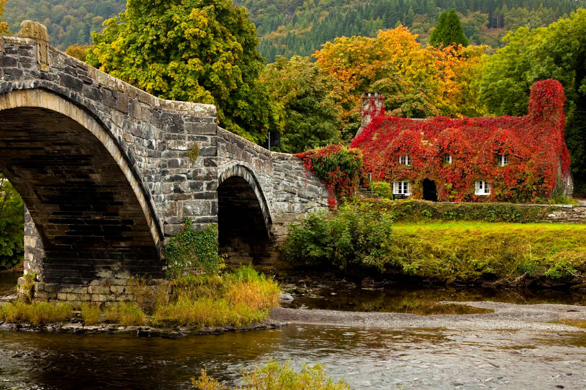 Savoring Wales: A Culinary Journey photo 11
