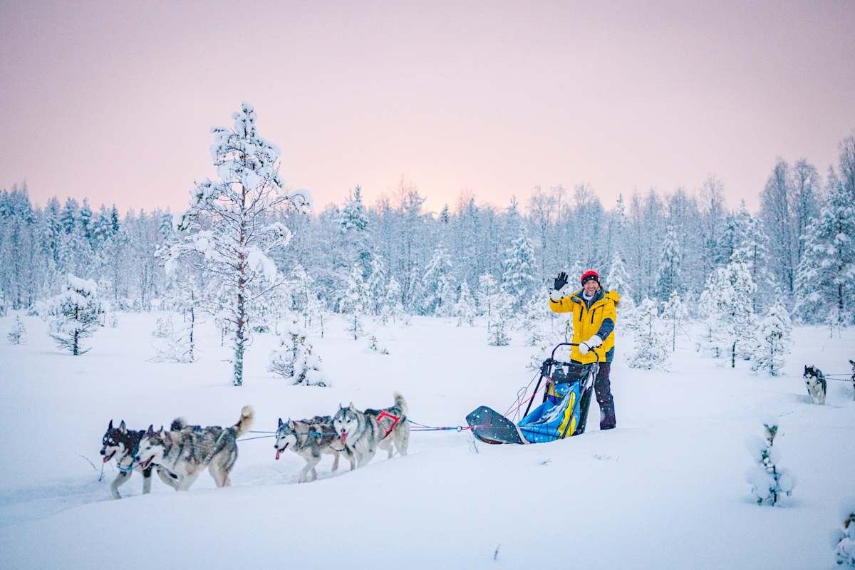 Lapland Winter Wonderland photo 1