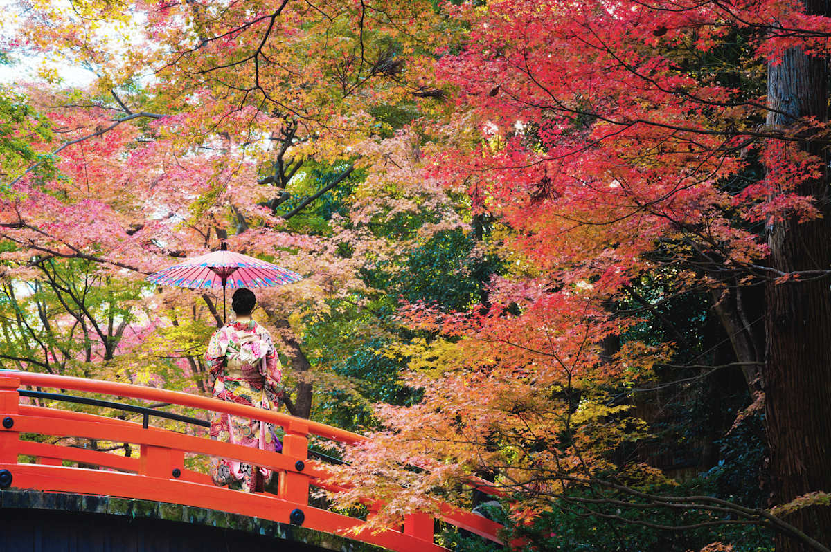 Japan's Fall Colors & Cultural Highlights photo 1