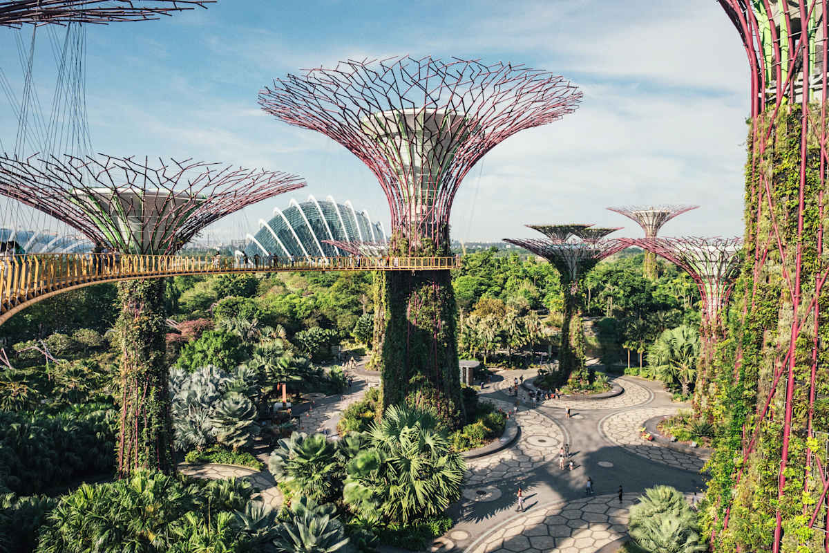 Singapore Highlights: City & Nature photo 5