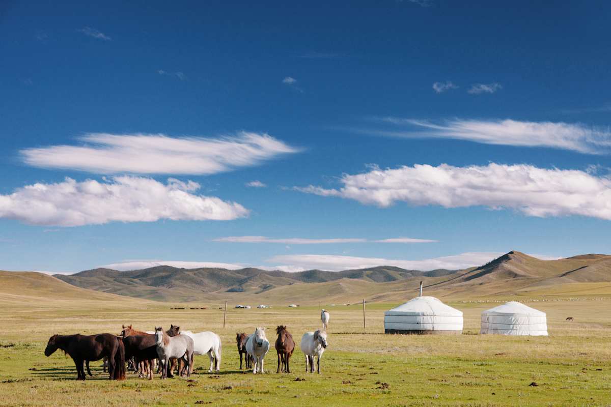 Seoul & the Mongolian Steppe photo 7