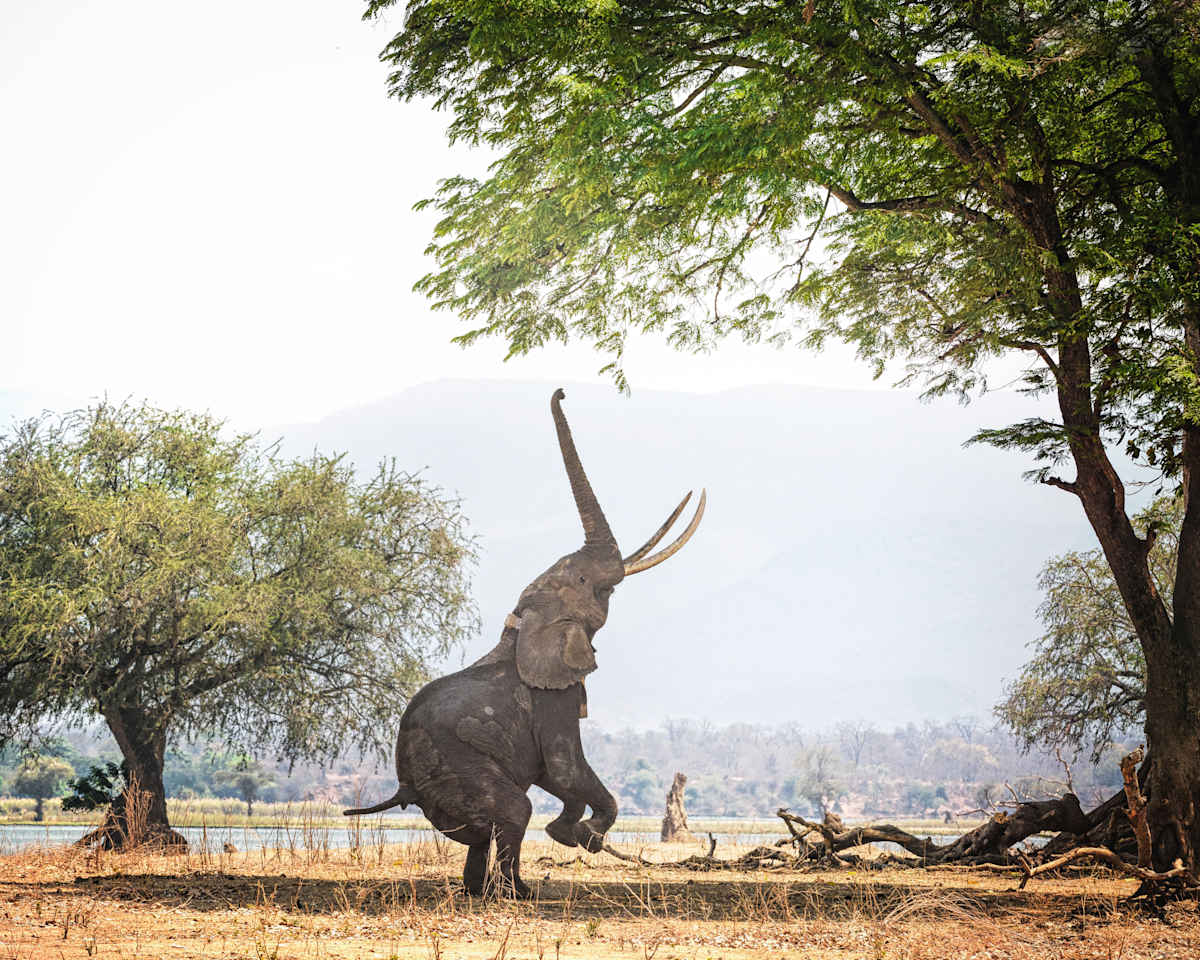 Northern Zimbabwe: Remote Safaris & Epic Sunsets photo 2