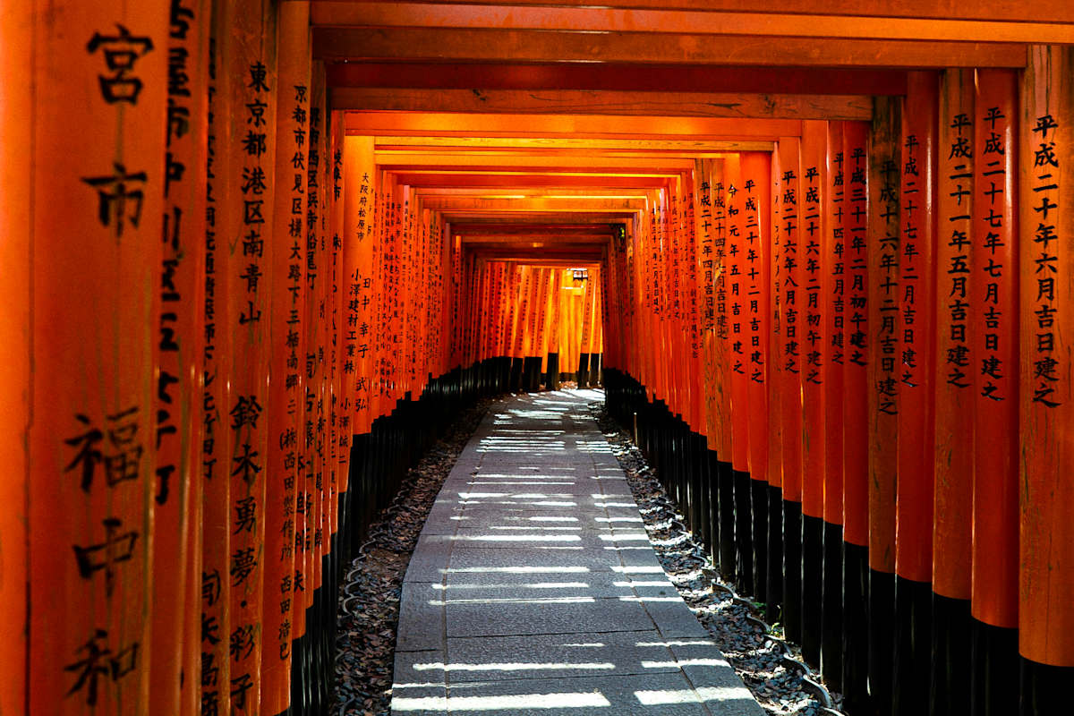Japanese Alps, Temples & Hot Springs photo 6