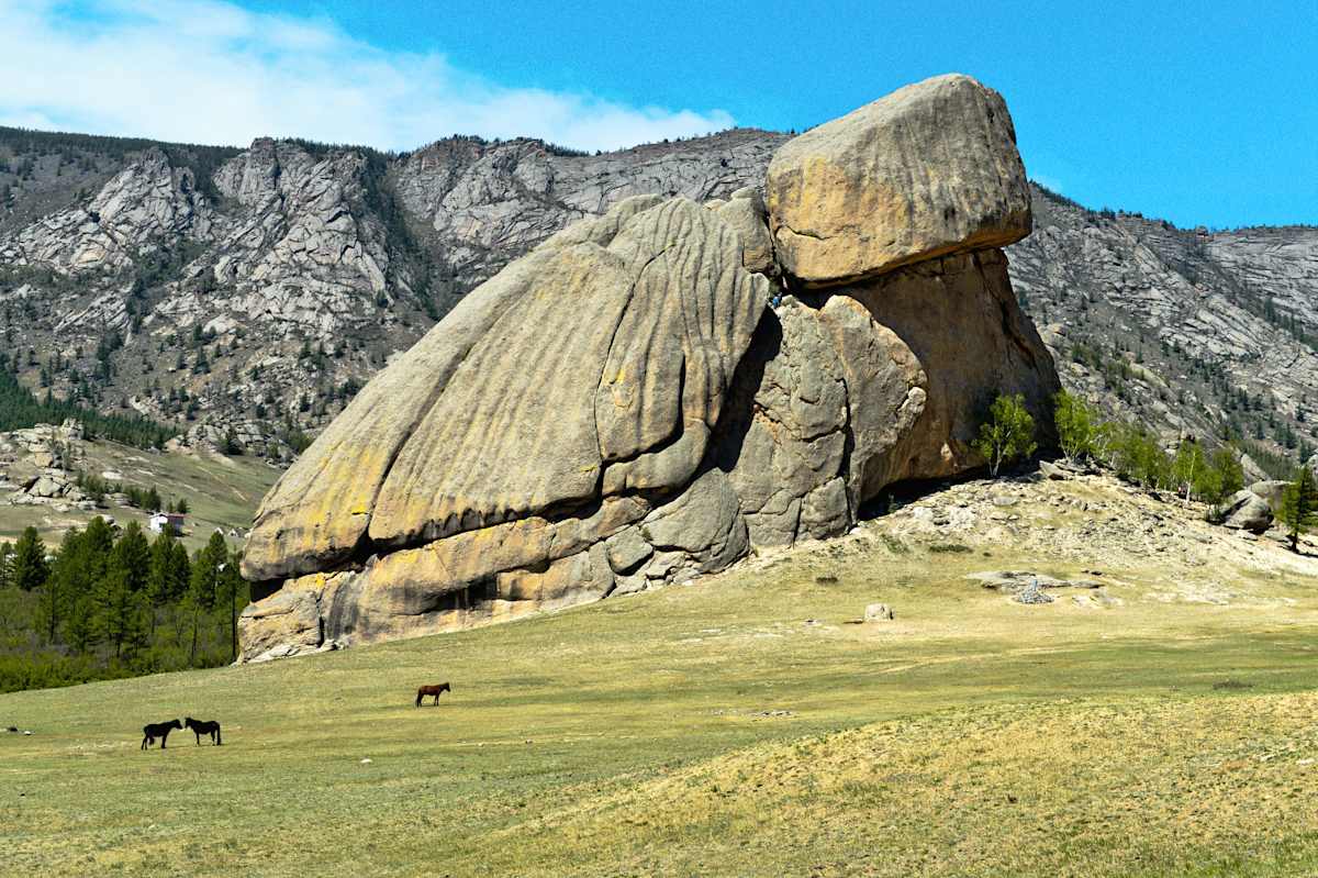 Essential Mongolia photo 6