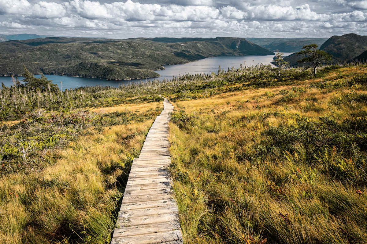 Canadian Maritimes & Newfoundland Expedition Cruise photo 3