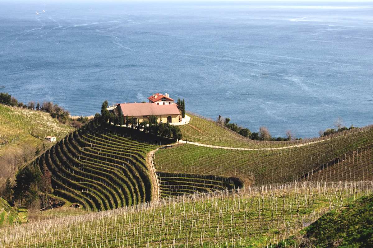 A Taste of Bordeaux & Basque Region photo 1