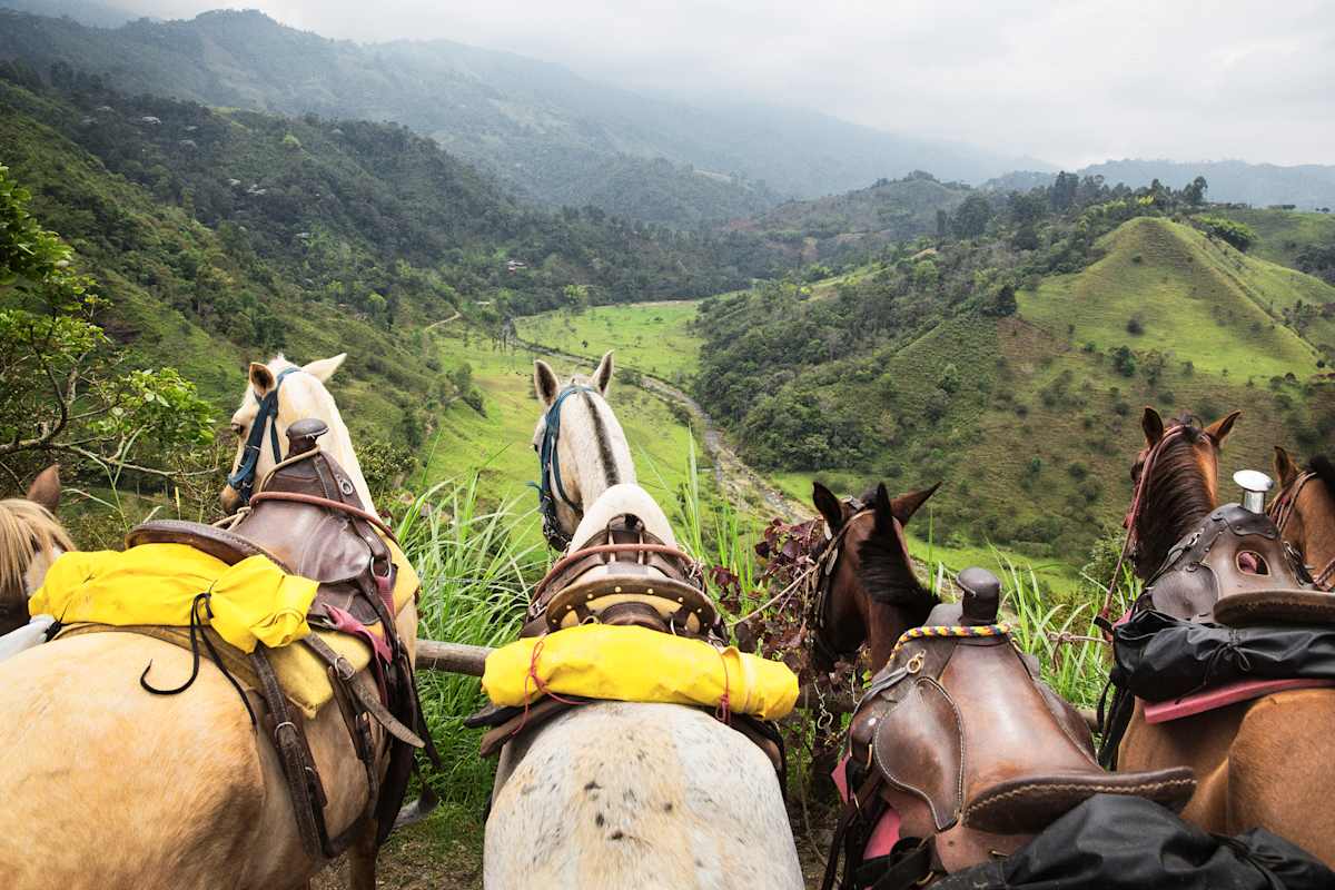Enchanted Colombia photo 5