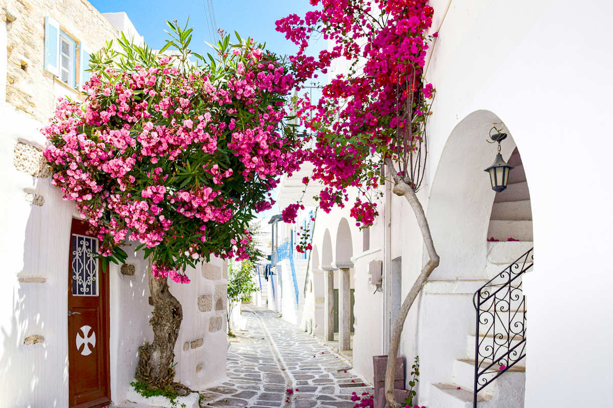 Essential Greece: Athens, Mykonos & Santorini photo 7