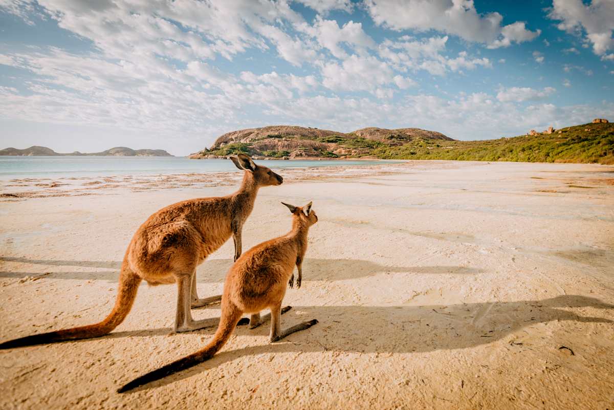 Australian Outback, Wine & Rail photo 1