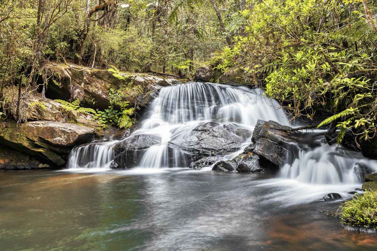 Rainforests of Madagascar Masoala & Andasibe National Park photo 5