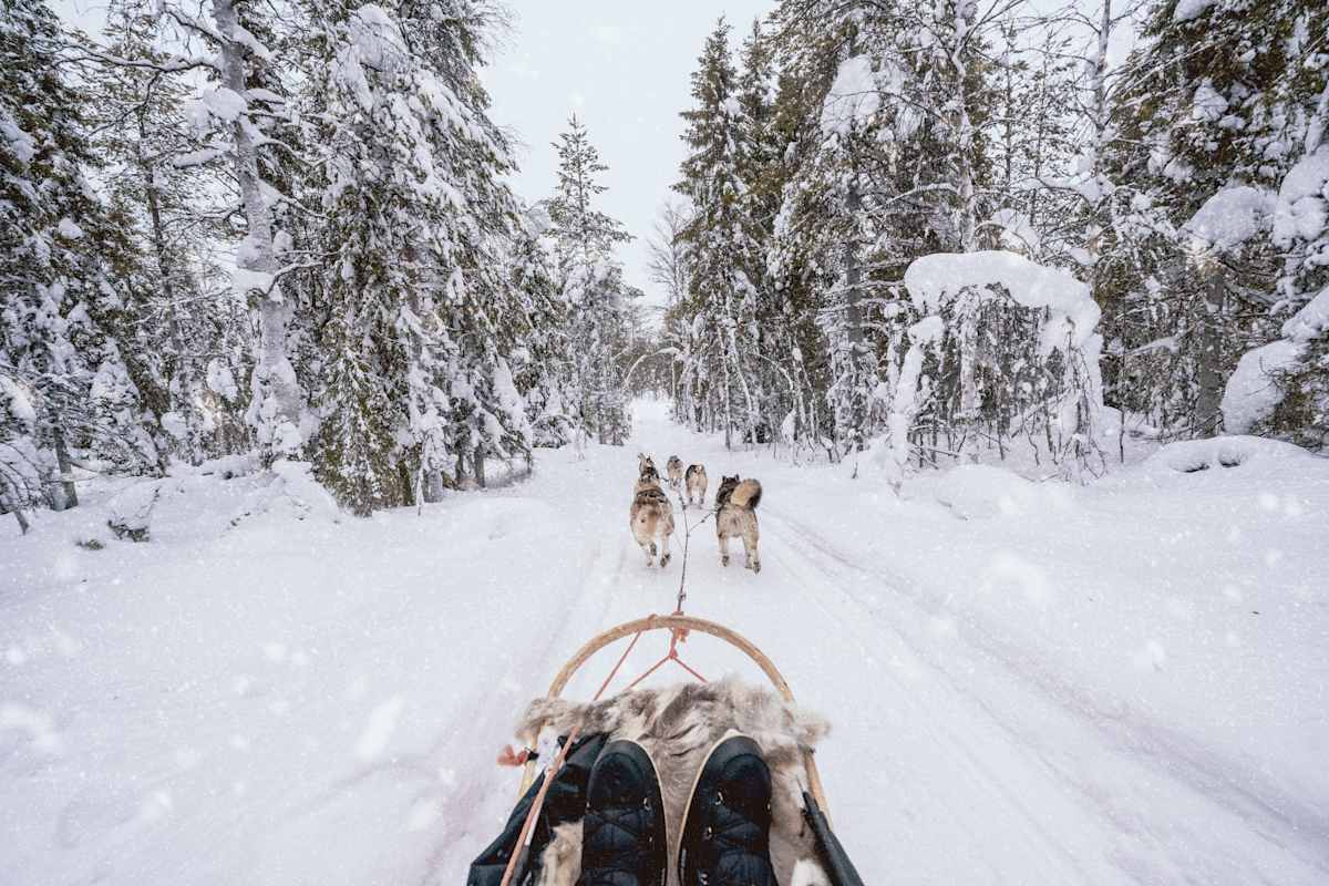Helsinki & the Northern Arctic photo 7