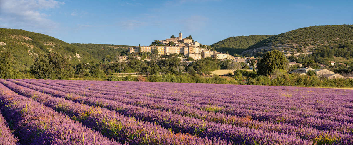 The Essence of Provence photo 1