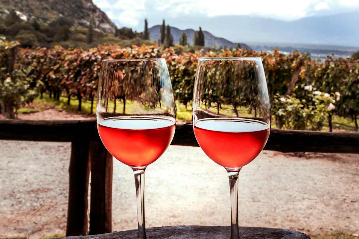 Buenos Aires & Mendoza: Gastronomy & Wine photo 1