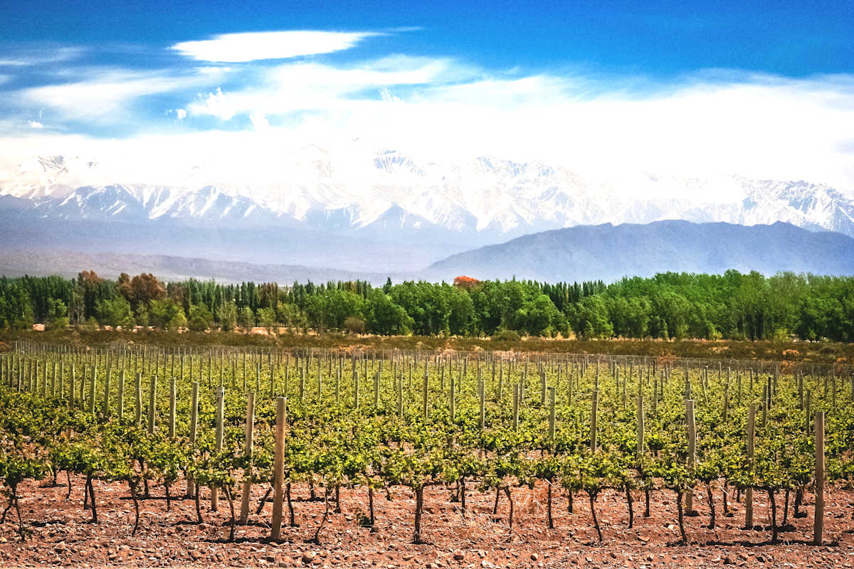 Chilean Valleys & Malbecs of Mendoza photo 1