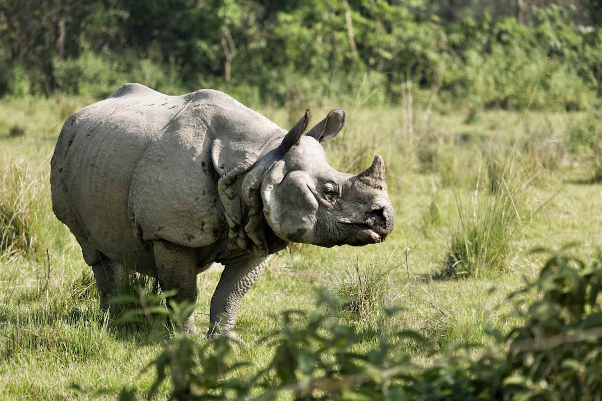 Nepal & Bhutan Explorer photo 5