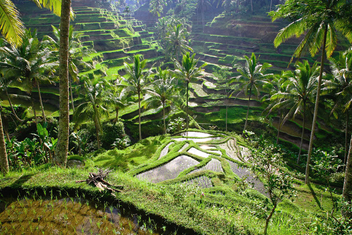 Java, Bali & Lombok: Sacred Sites & Luxe Hideaways  photo 2