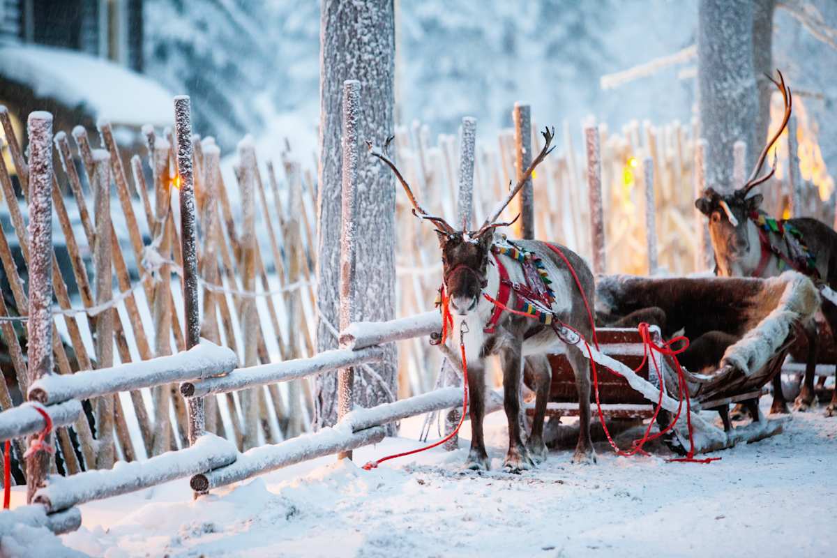 Finland Winter Family Fun photo 1