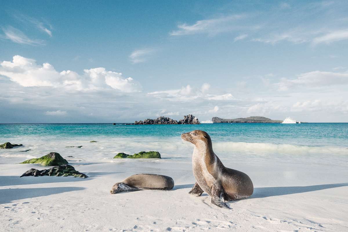 Galapagos Island Escape: Santa Cruz & San Cristobal photo 1